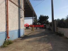ea_2791_40